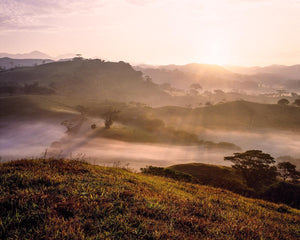 Plate 2 - Cumorah Battlefield Early Morning