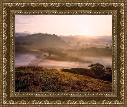 Plate 2 - Cumorah Battlefield Early Morning