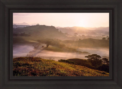 Plate 2 - Cumorah Battlefield Early Morning