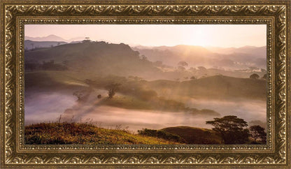 Plate 2 - Cumorah Battlefield Early Morning