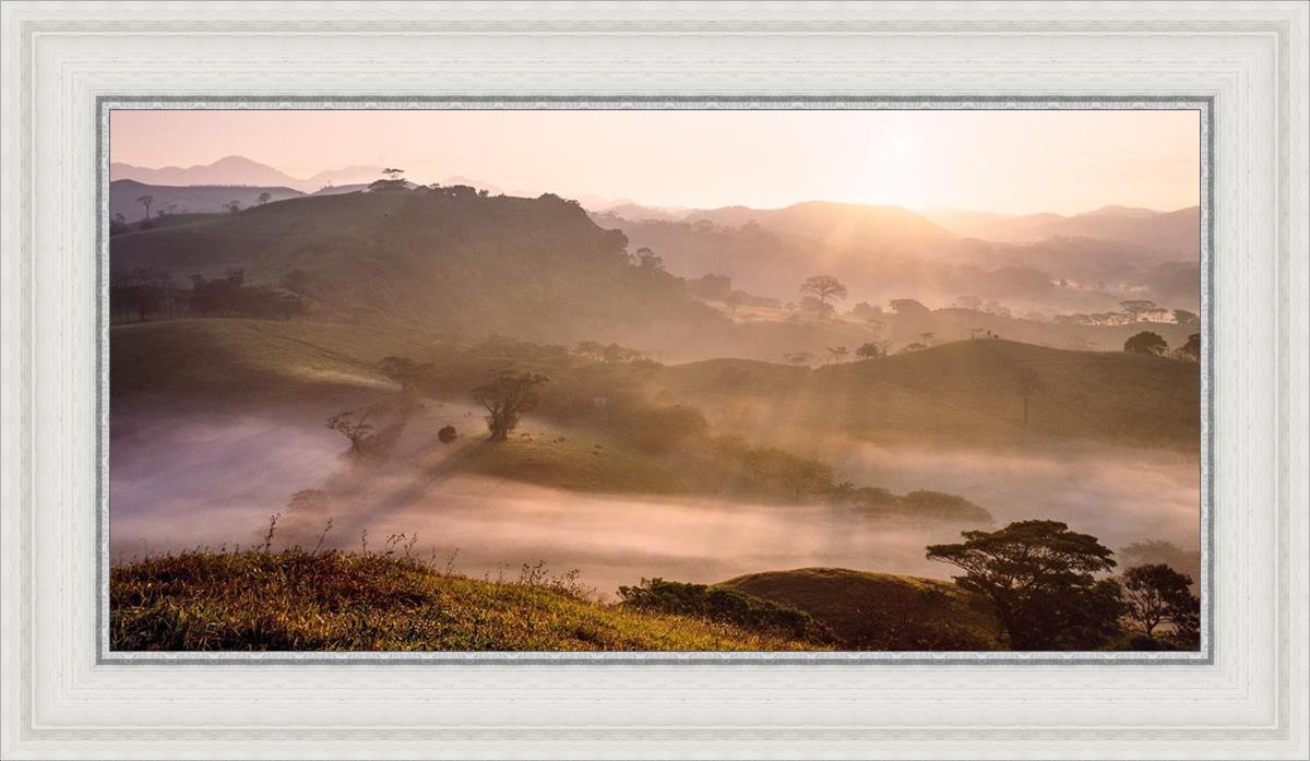 Plate 2 - Cumorah Battlefield Early Morning