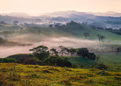 Plate 3 - Cumorah Battlefield Late Morning