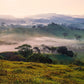 Plate 3 - Cumorah Battlefield Late Morning