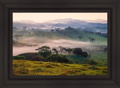 Plate 3 - Cumorah Battlefield Late Morning