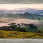 Plate 3 - Cumorah Battlefield Late Morning
