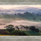 Plate 3 - Cumorah Battlefield Late Morning