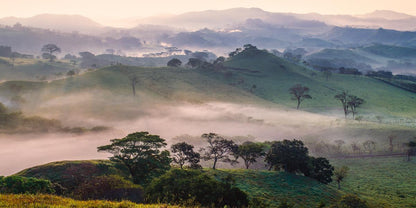 Plate 3 - Cumorah Battlefield Late Morning
