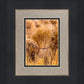 Plate 1 - Guatemala Highlands Shock of Wheat