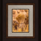 Plate 1 - Guatemala Highlands Shock of Wheat