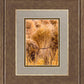 Plate 1 - Guatemala Highlands Shock of Wheat