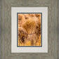 Plate 1 - Guatemala Highlands Shock of Wheat
