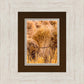 Plate 1 - Guatemala Highlands Shock of Wheat