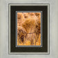 Plate 1 - Guatemala Highlands Shock of Wheat