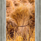 Plate 1 - Guatemala Highlands Shock of Wheat