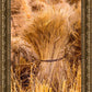 Plate 1 - Guatemala Highlands Shock of Wheat