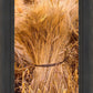 Plate 1 - Guatemala Highlands Shock of Wheat