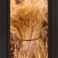 Plate 1 - Guatemala Highlands Shock of Wheat