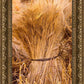 Plate 1 - Guatemala Highlands Shock of Wheat