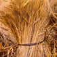 Plate 1 - Guatemala Highlands Shock of Wheat