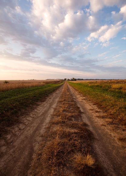 Plate 8 - Calm Before the Storm Vertical