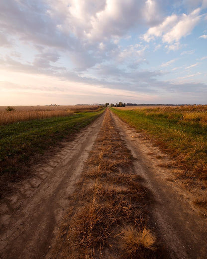 Plate 8 - Calm Before the Storm Vertical