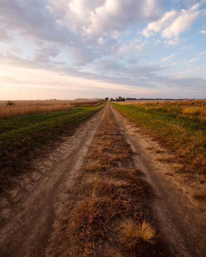 Plate 8 - Calm Before the Storm Vertical