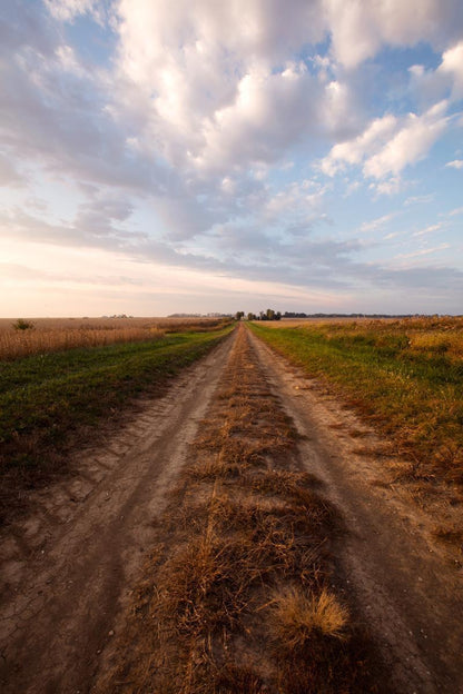 Plate 8 - Calm Before the Storm Vertical