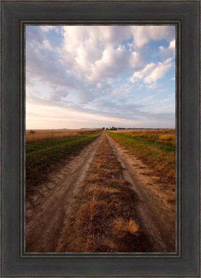 Plate 8 - Calm Before the Storm Vertical