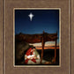 The Nativity
