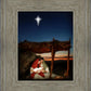 The Nativity