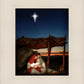 The Nativity