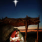 The Nativity