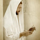 King of Kings