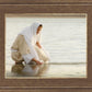 Fount of Living Waters