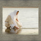 Fount of Living Waters