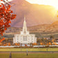 Payson Temple Seeking Light And Knowledge