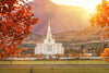 Payson Temple Seeking Light And Knowledge