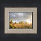Payson Sunflowers