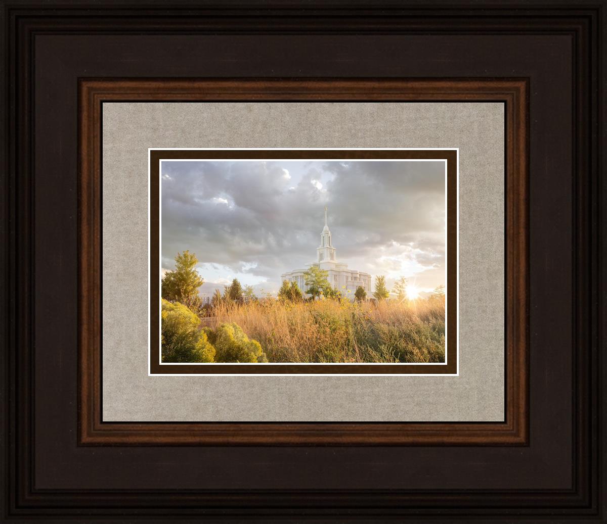Payson Sunflowers