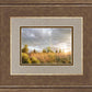 Payson Sunflowers