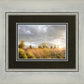 Payson Sunflowers