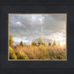 Payson Sunflowers