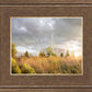 Payson Sunflowers
