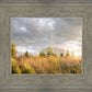 Payson Sunflowers