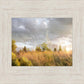 Payson Sunflowers