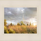 Payson Sunflowers