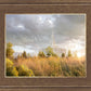 Payson Sunflowers