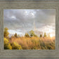 Payson Sunflowers