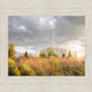 Payson Sunflowers