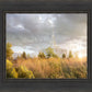 Payson Sunflowers